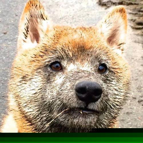 开云中国官网-《精彩战队转会：多支顶级队伍阵容调整》，精彩来袭是什么意思