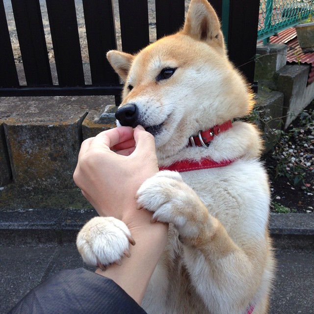 开云体育官方网入口-史上最强“万人迷”中场指挥官，有创意的中场指挥官